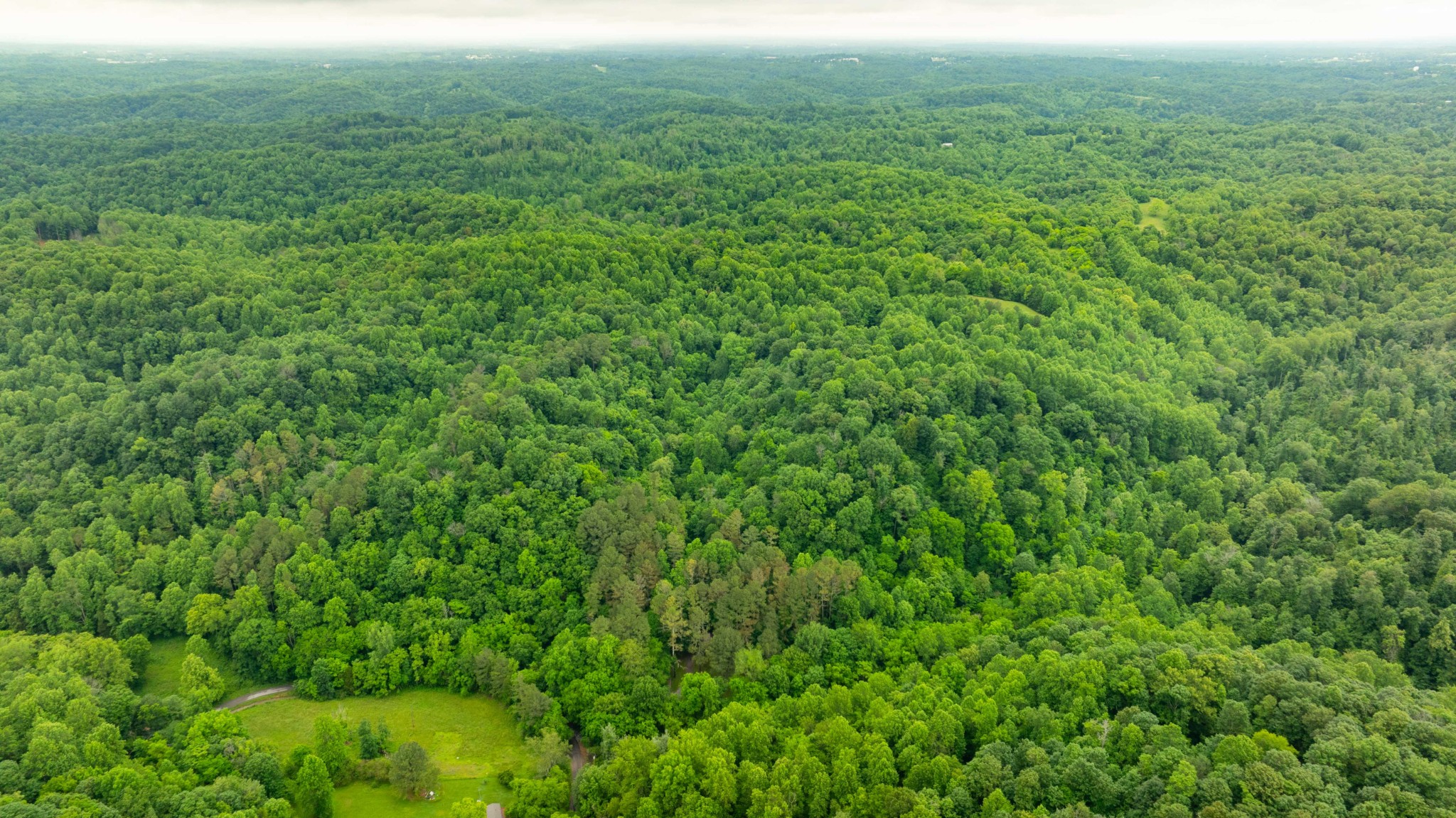 765 Leath Chapel Road Bethpage, TN 37022 - Photo 16 of 17 a view of a lush green space