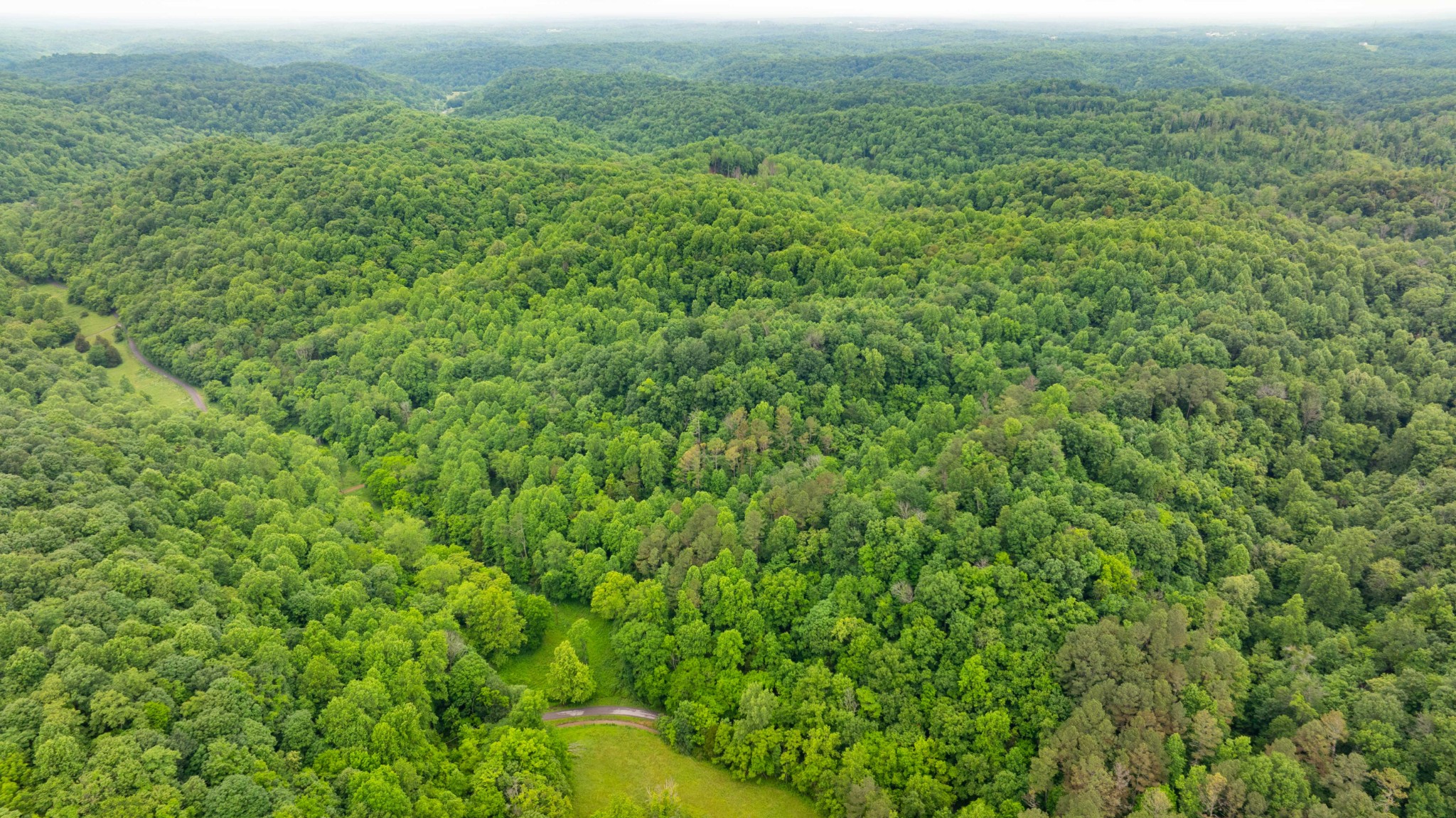 765 Leath Chapel Road Bethpage, TN 37022 - Photo 17 of 17 a view of a green field with lots of bushes