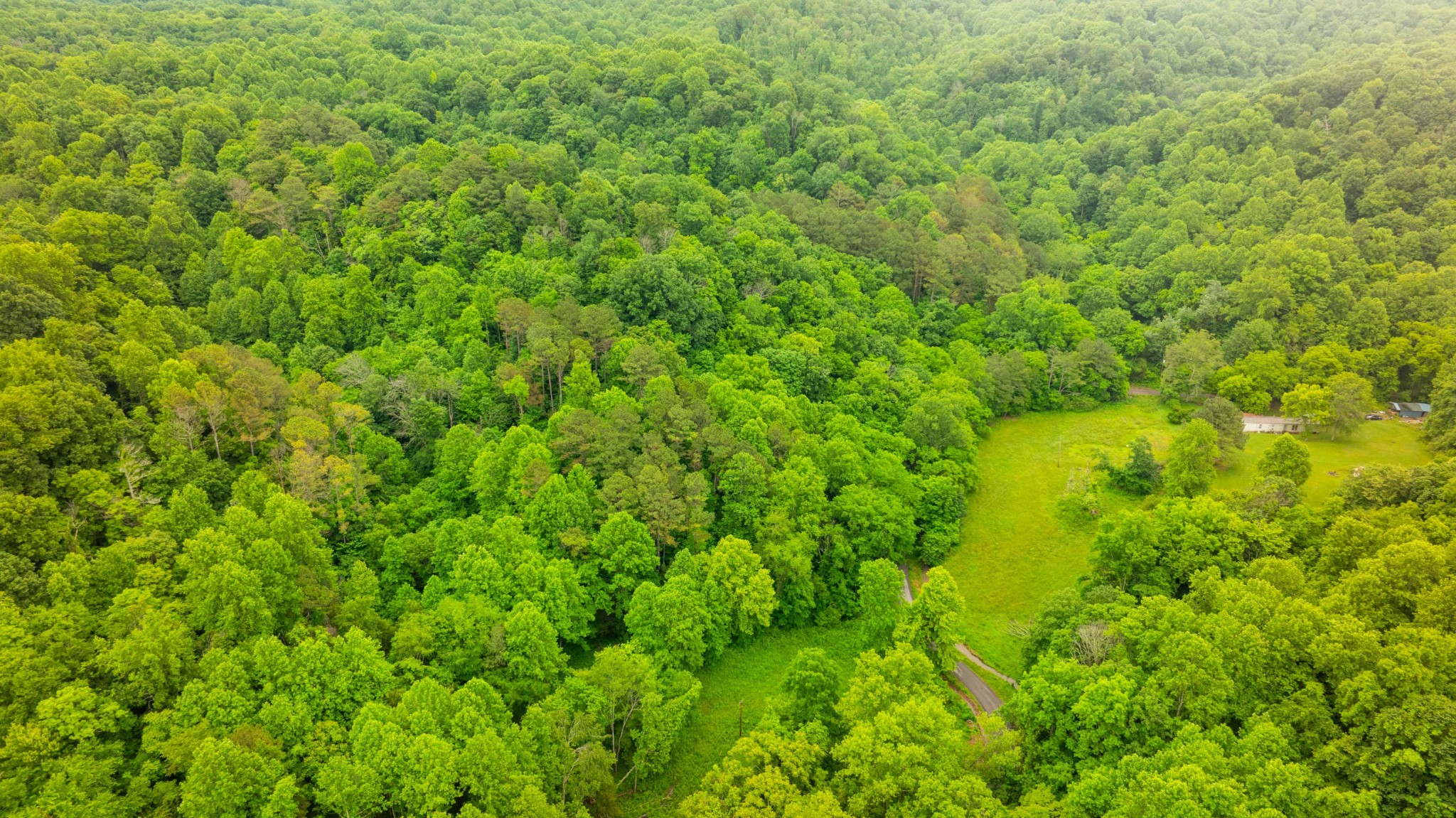 765 Leath Chapel Road Bethpage, TN 37022 - Photo 2 of 17 a view of a lush green space