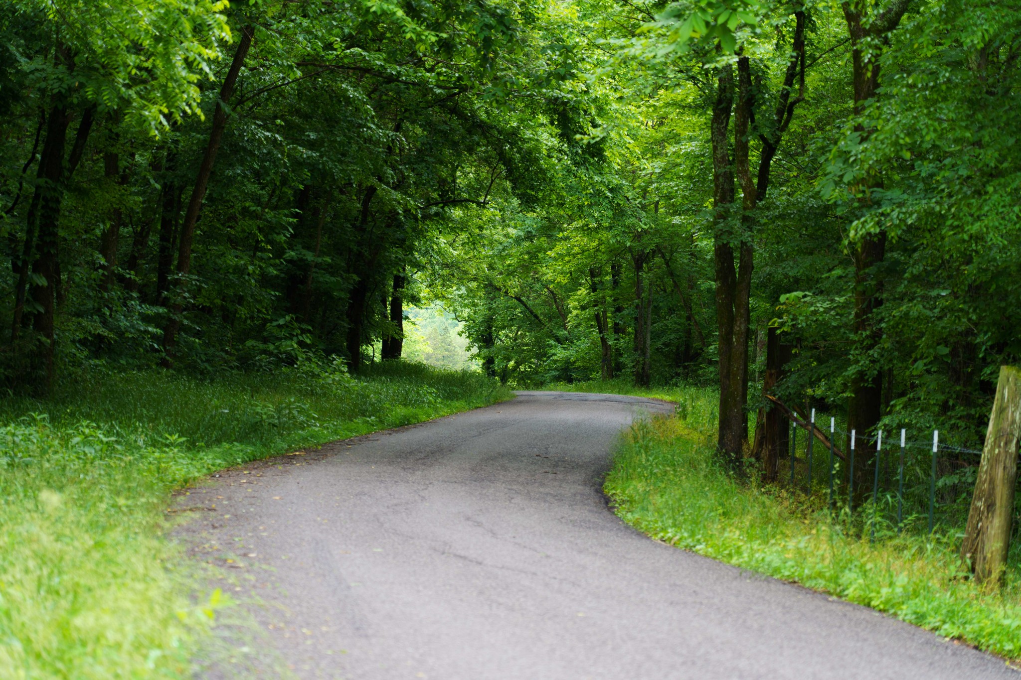 765 Leath Chapel Road Bethpage, TN 37022 - Photo 7 of 17 a view of a street with a trees