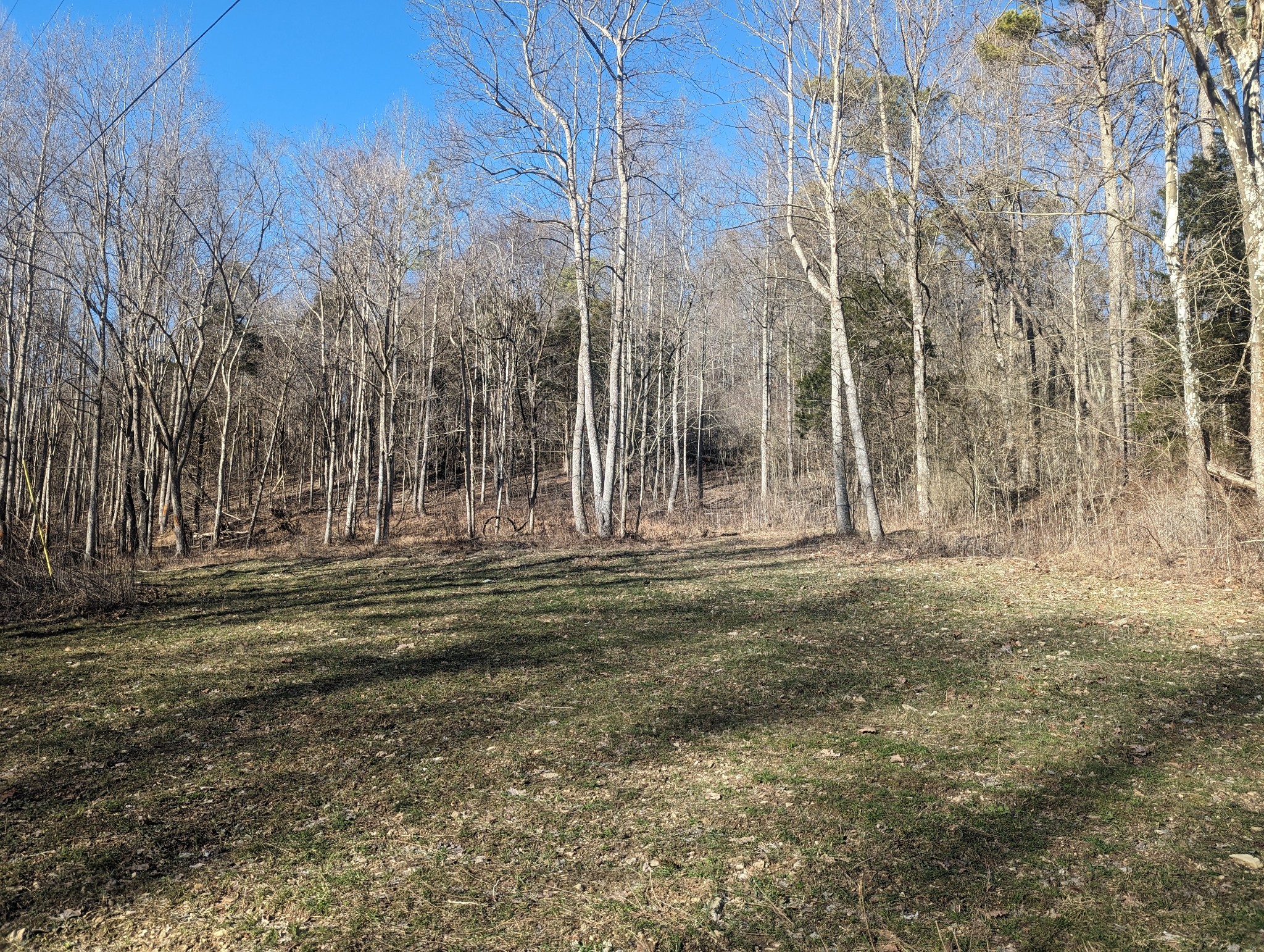 765 Leath Chapel Road Bethpage, TN 37022 - Photo 8 of 17 a backyard of a house with lots of green space