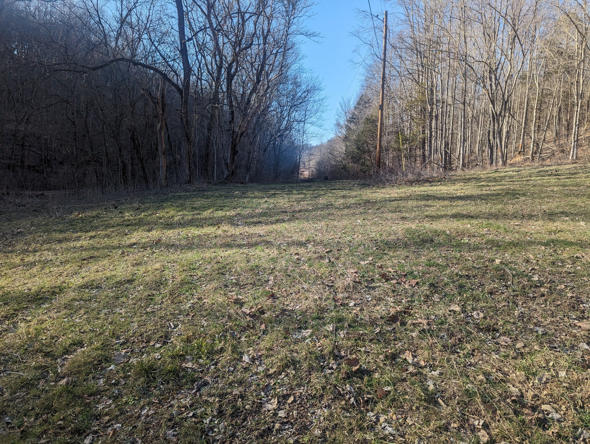765 Leath Chapel Road Bethpage, TN 37022 - Photo 9 of 17 a view of a backyard