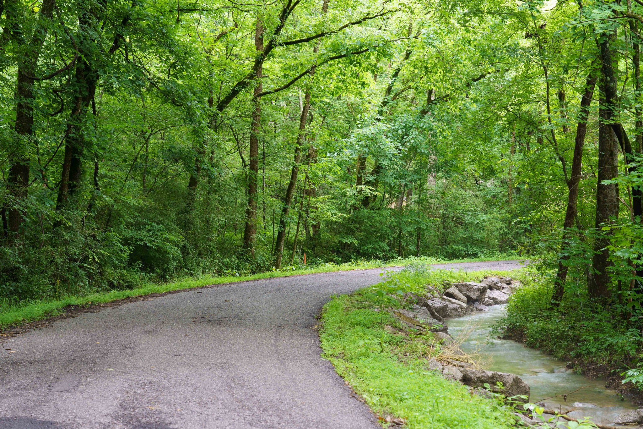 765 Leath Chapel Road Bethpage, TN 37022 - Photo 10 of 17 a view of a road with a yard
