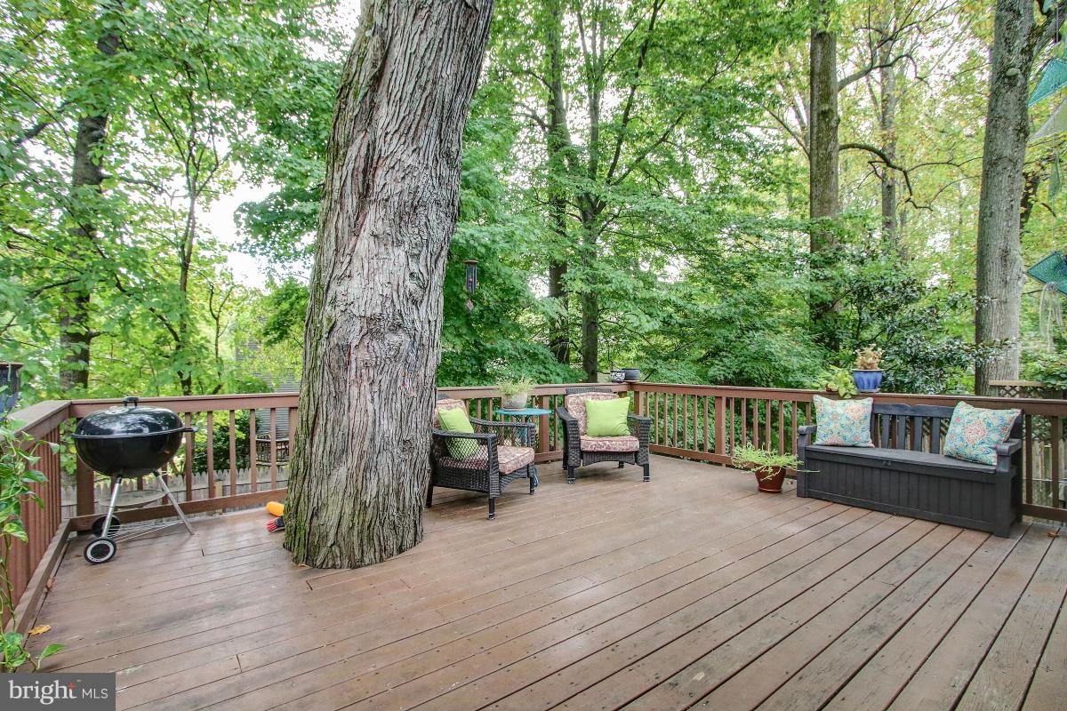 10707 Margate Road Silver Spring, MD 20901 - Photo 28 of 30 Spacious Deck