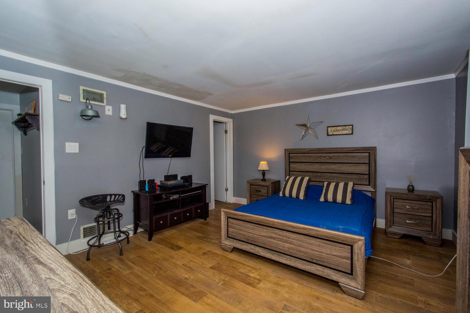 111 Red Toad Road North East, MD 21901 - Photo 22 of 36 Lower Level Bedroom w/ Full Bath