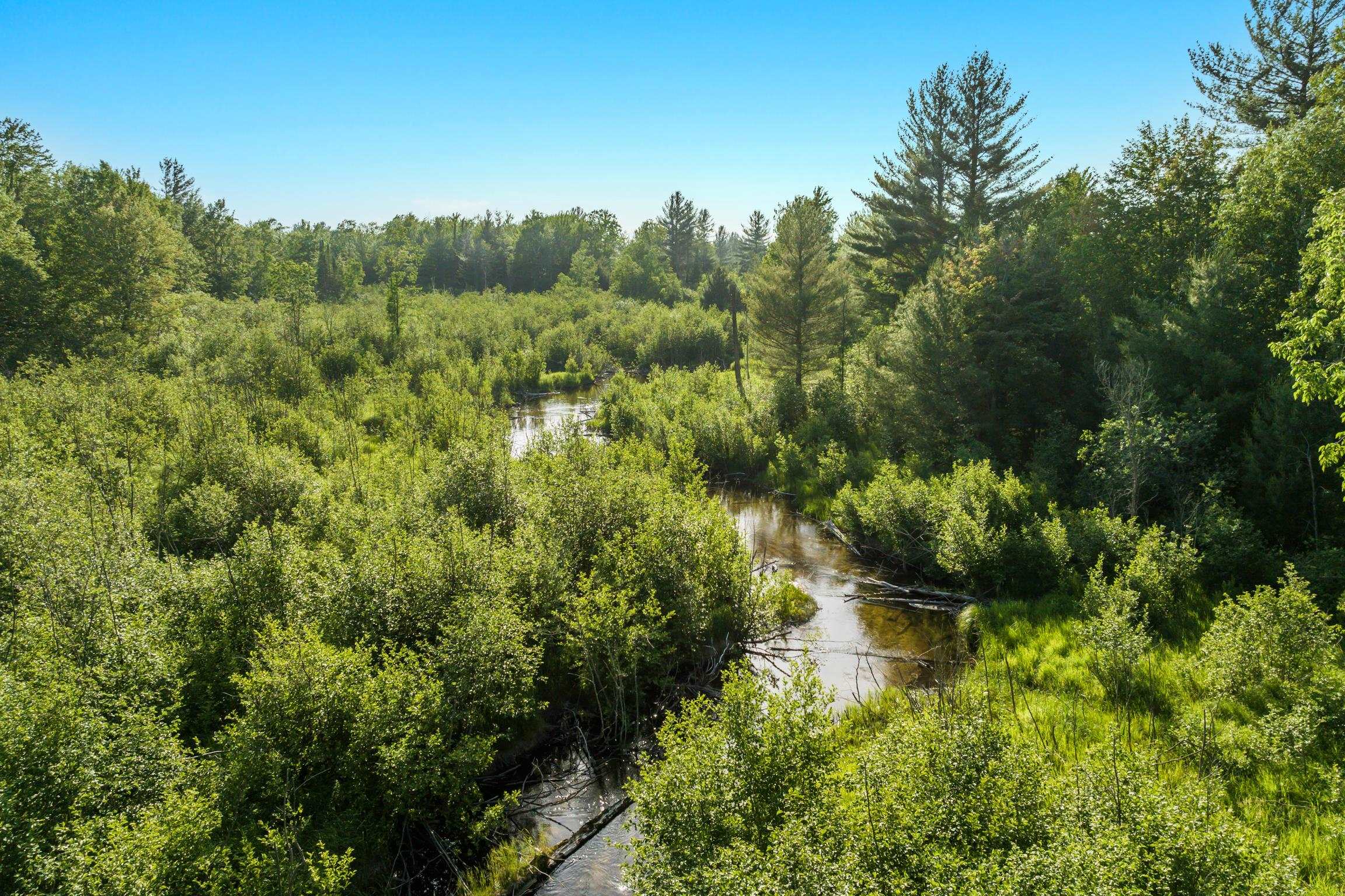0 Bentley Road Thompsonville, MI 49683 - Photo 1 of 11 Gallery Image 1