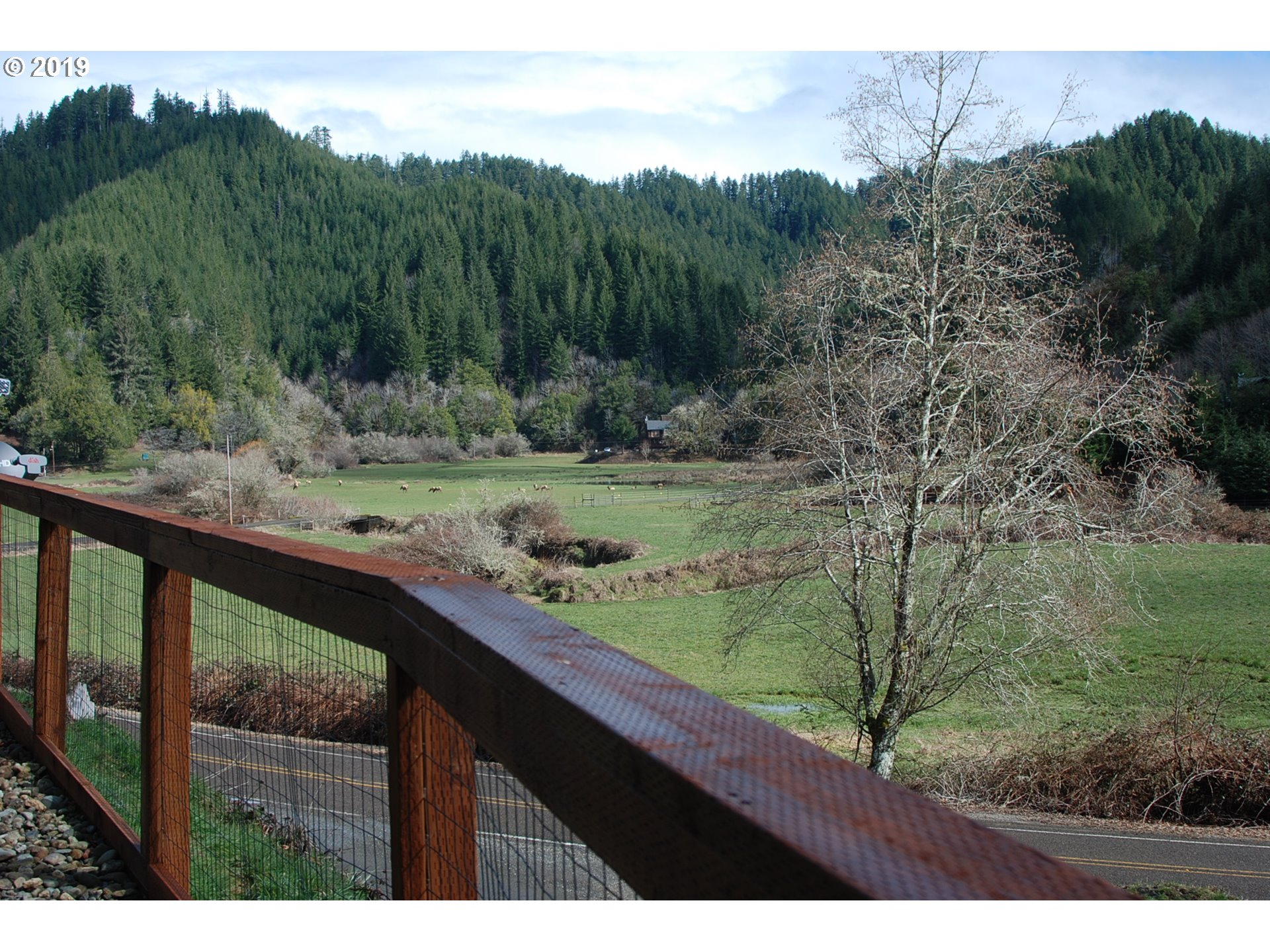 1833 Deans Creek Road Reedsport, OR 97467 - Photo 2 of 32