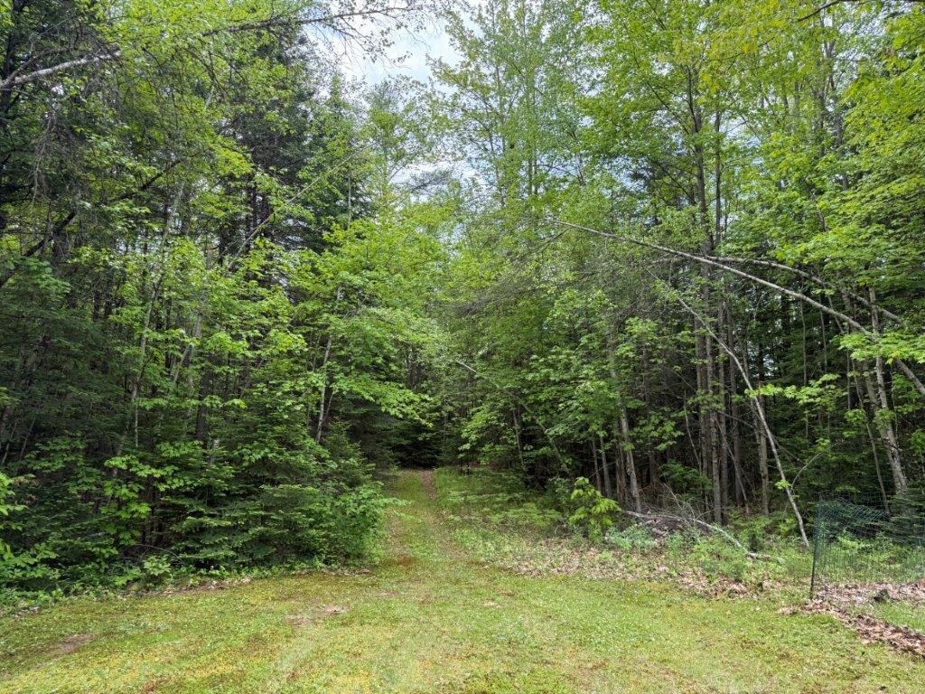 88 S Road Canaan, NH 03741 - Photo 50 of 58
