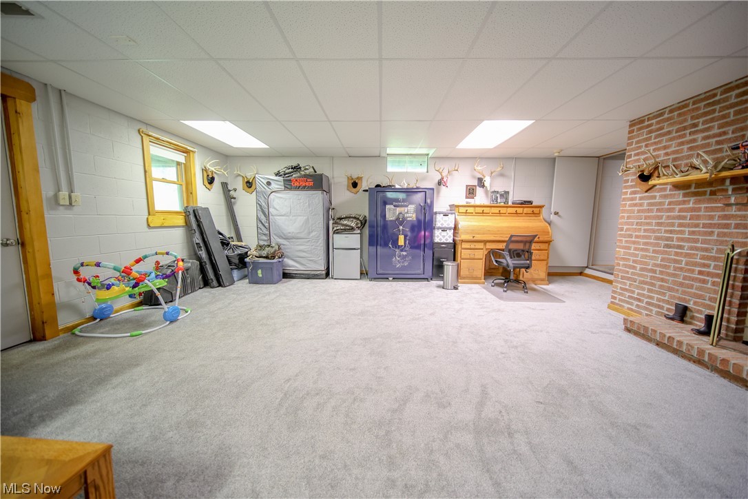 73110 Turkey Run Road Kimbolton, OH 43749 - Photo 8 of 29 Basement with a drop ceiling, light carpet, and a fireplace