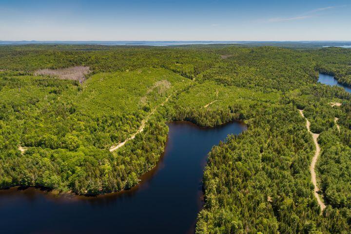 920 Goulding Lake Road Robbinston, ME 04671 - Photo 56 of 70 30