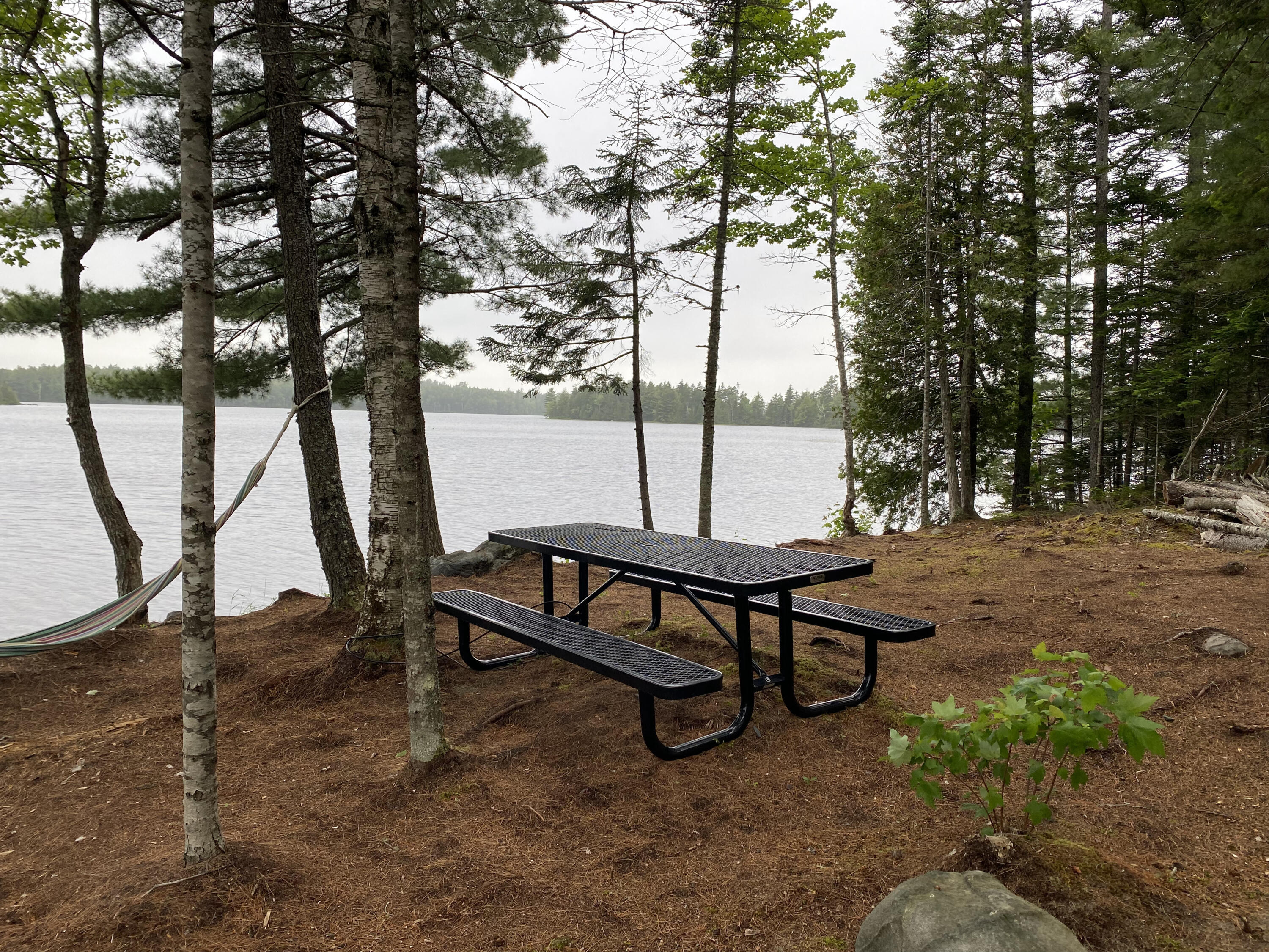 920 Goulding Lake Road Robbinston, ME 04671 - Photo 62 of 70 IMG_6911