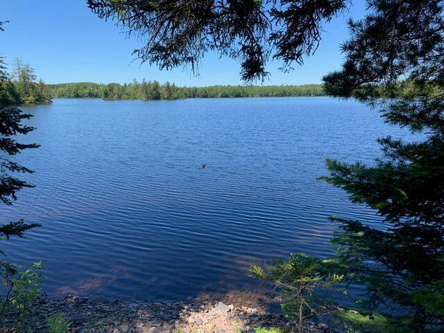 920 Goulding Lake Road Robbinston, ME 04671 - Photo 65 of 70 35