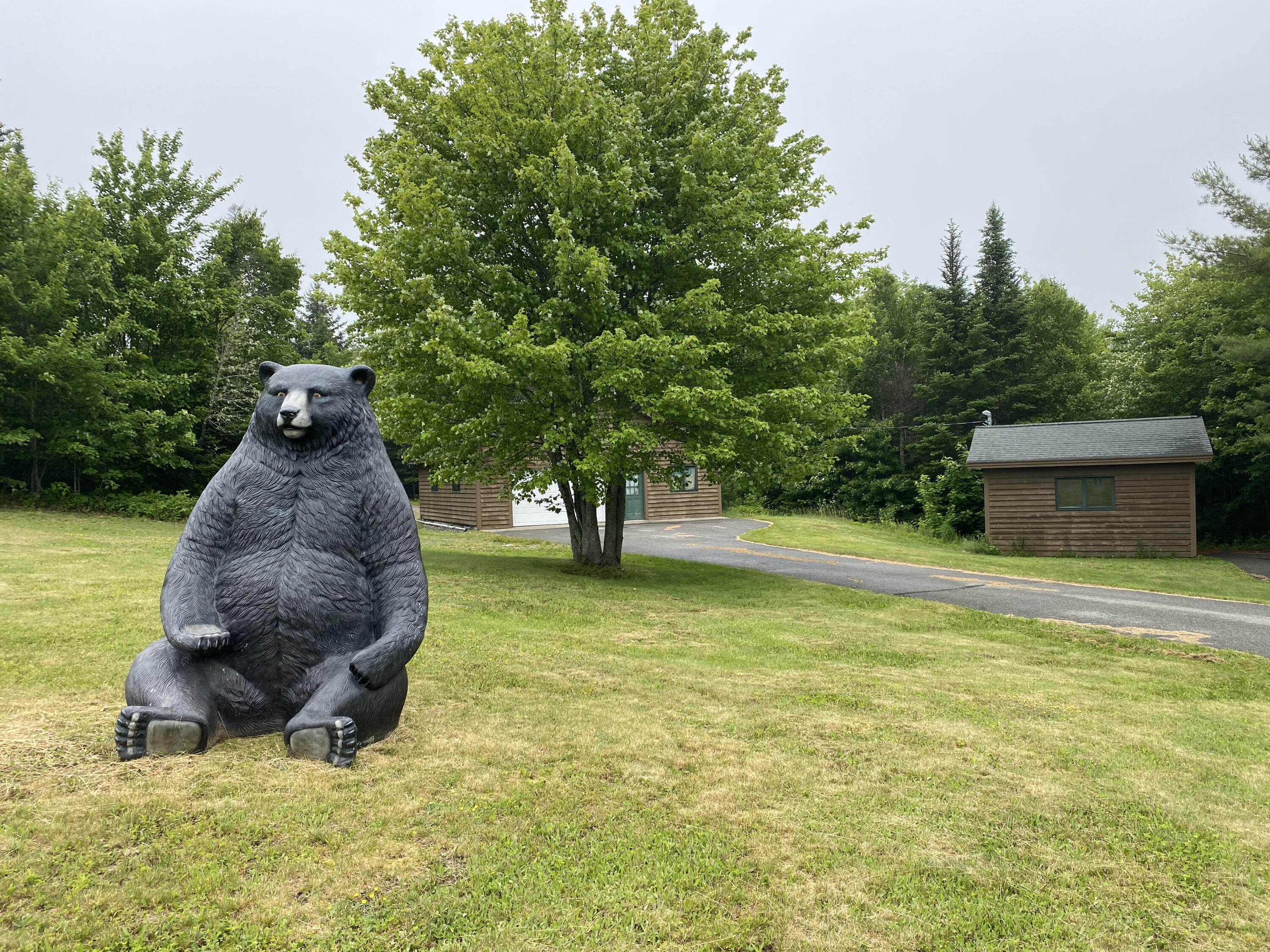 920 Goulding Lake Road Robbinston, ME 04671 - Photo 8 of 70 IMG_6917