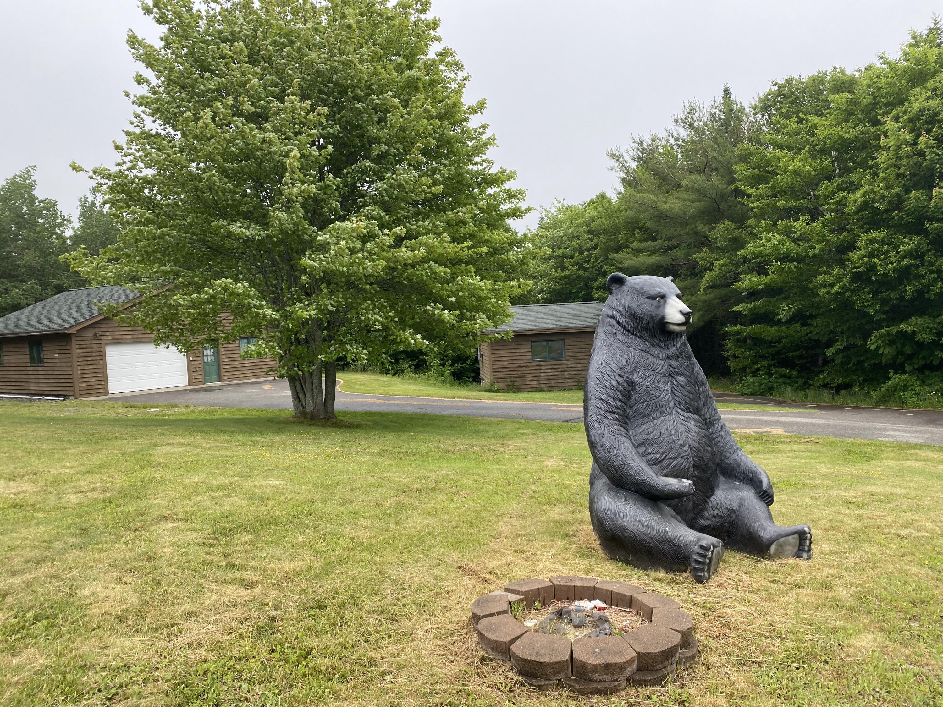 920 Goulding Lake Road Robbinston, ME 04671 - Photo 9 of 70 IMG_6916