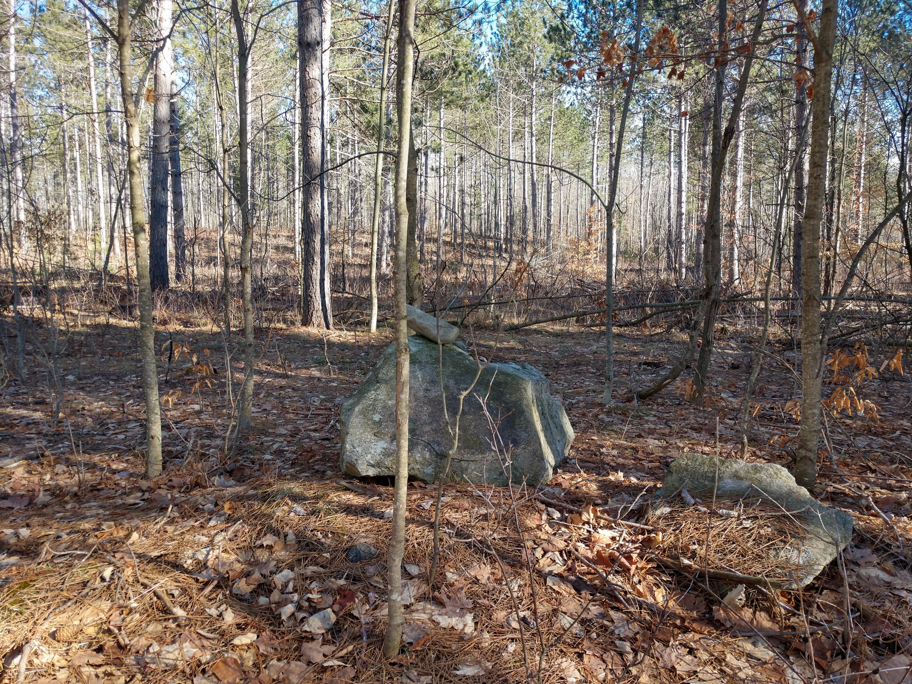 Hall Road Atlanta, MI 49709 - Photo 17 of 62 Gallery Image 17