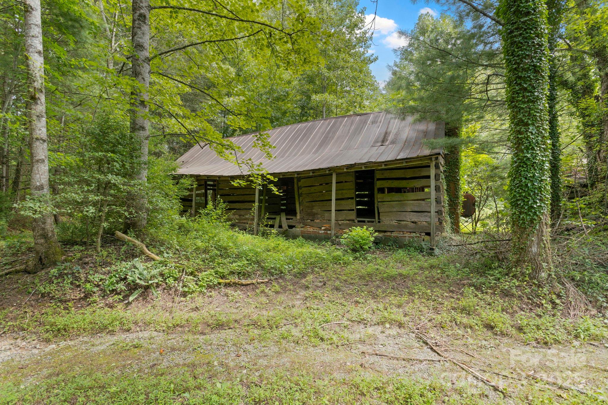 0 South Bobs Creek Road Zirconia, NC 28790 - Photo 11 of 31 a backyard of a house with plants and large tree