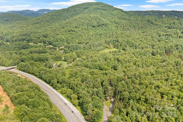 a view of a lush green forest with a mountain