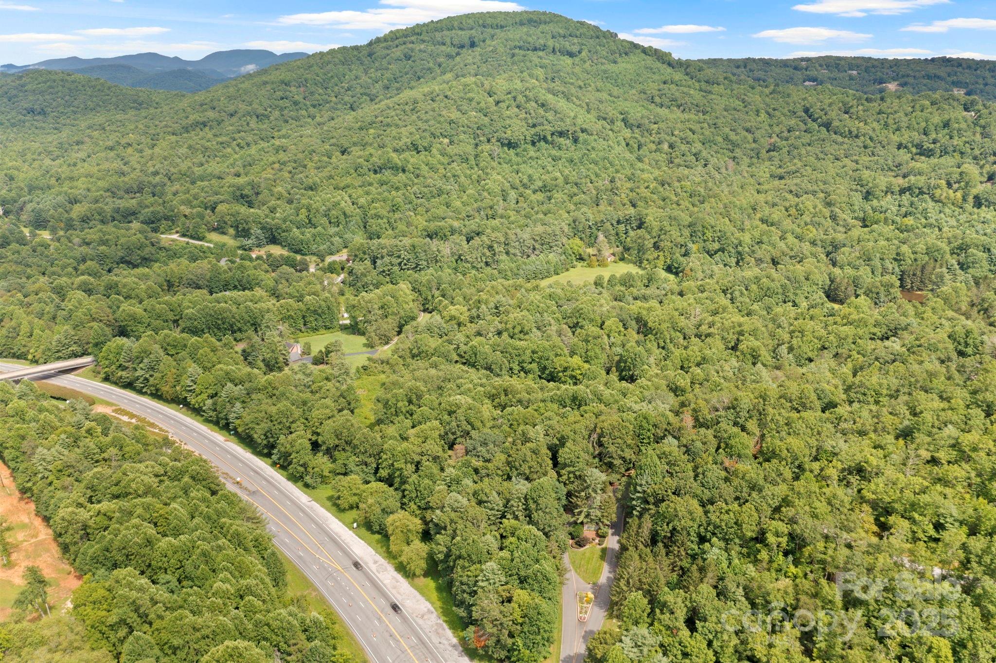 0 South Bobs Creek Road Zirconia, NC 28790 - Photo 17 of 31 a view of a lush green forest with a mountain