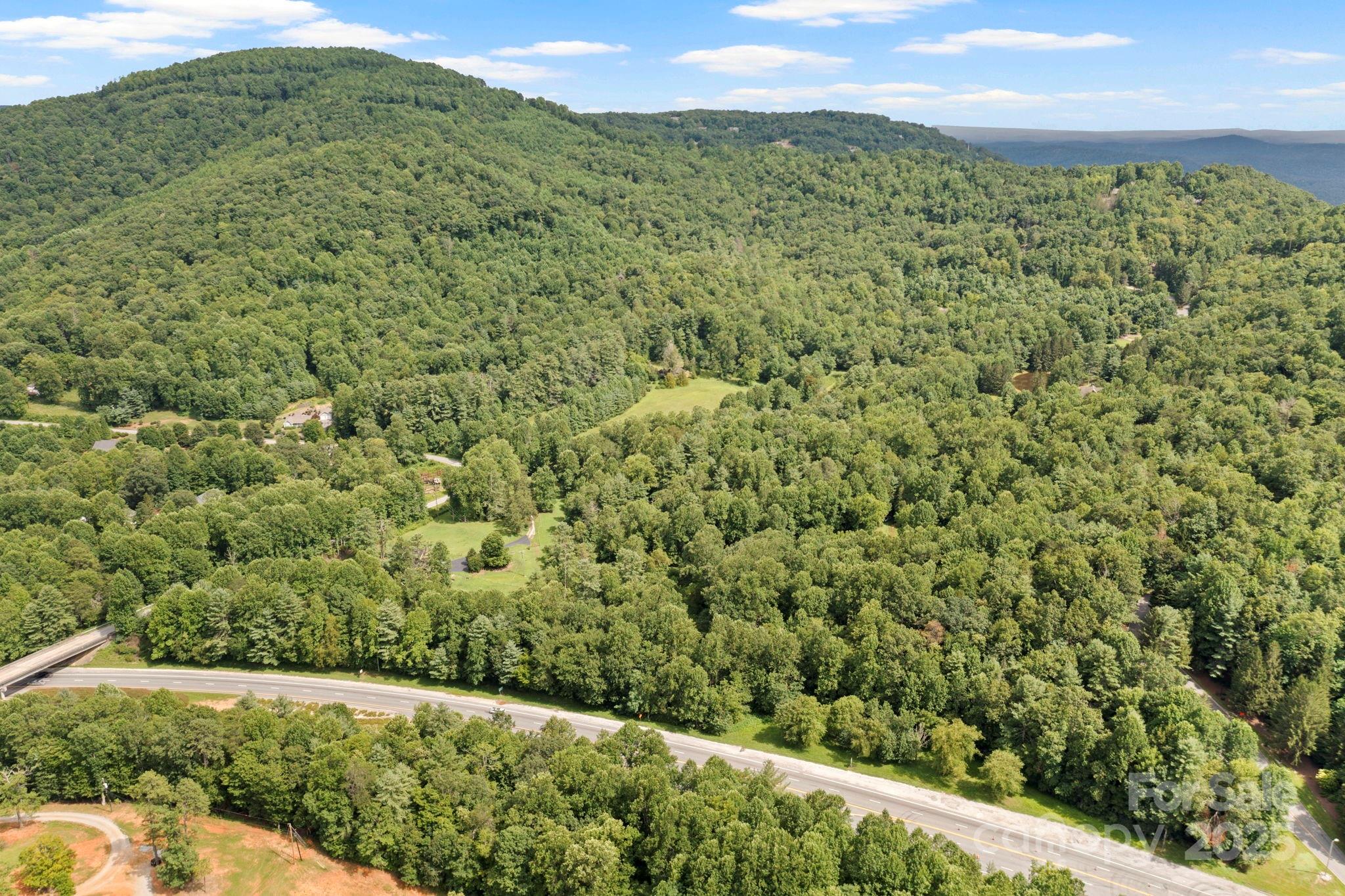 0 South Bobs Creek Road Zirconia, NC 28790 - Photo 18 of 31 a view of a yard with an outdoor space
