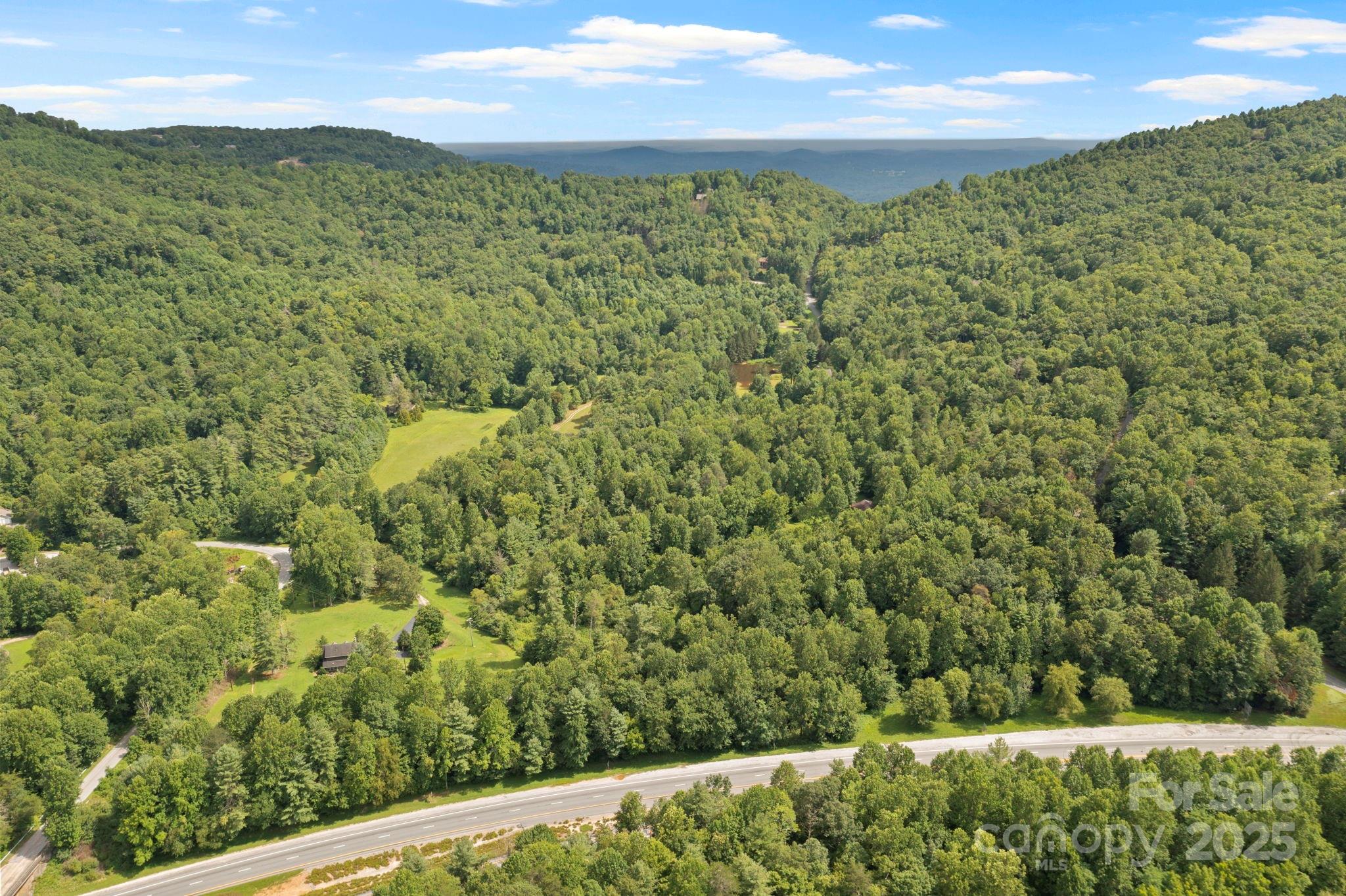 0 South Bobs Creek Road Zirconia, NC 28790 - Photo 19 of 31 a view of a field with an outdoor space