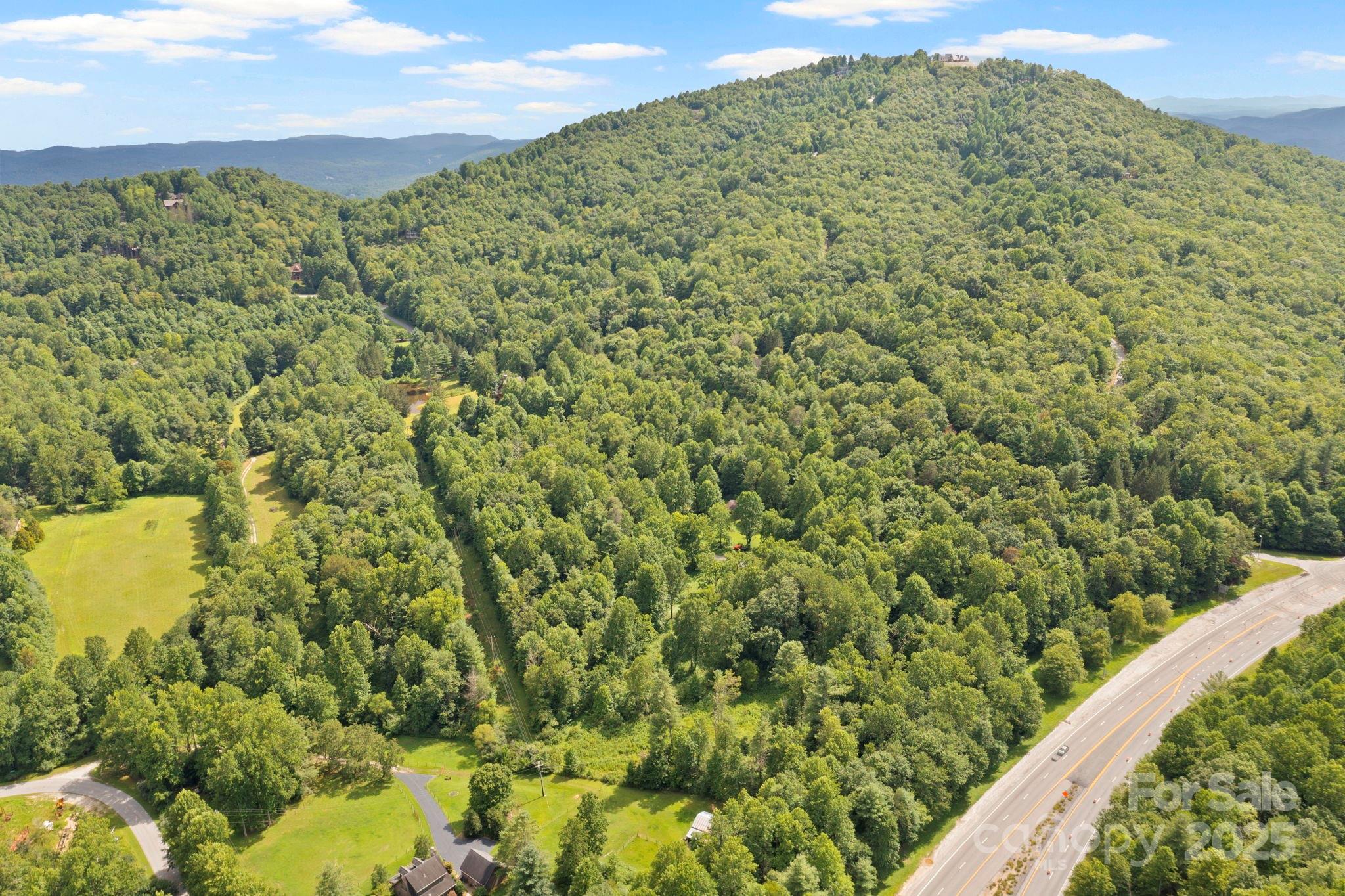 0 South Bobs Creek Road Zirconia, NC 28790 - Photo 20 of 31