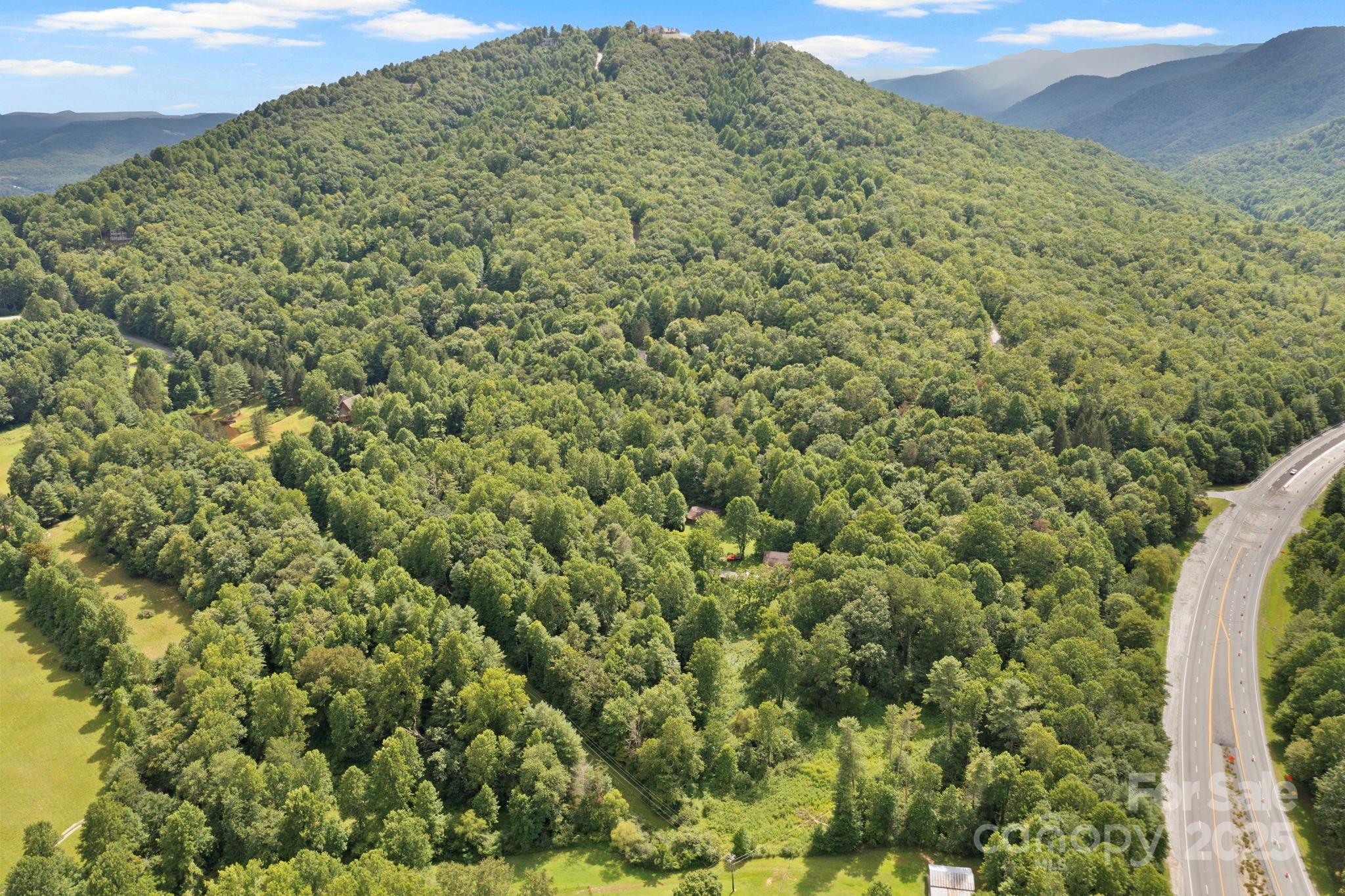 0 South Bobs Creek Road Zirconia, NC 28790 - Photo 21 of 31 a view of a large building with a lush green forest