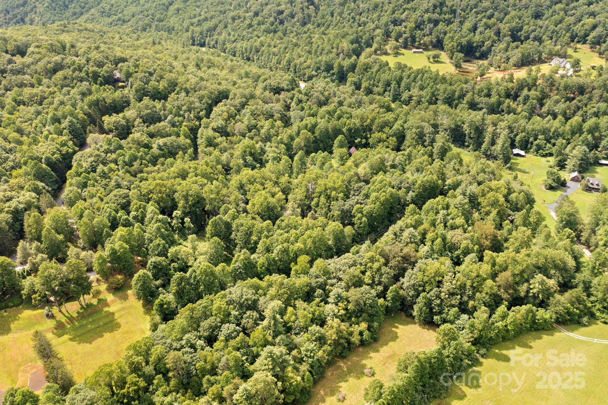 0 South Bobs Creek Road Zirconia, NC 28790 - Photo 23 of 31 a view of a large yard with lots of green space