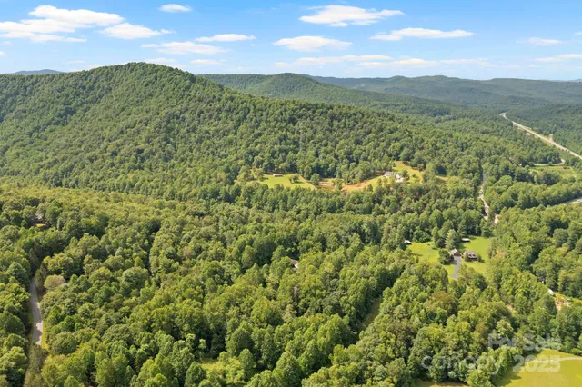 a view of a lush green forest with mountains in the background