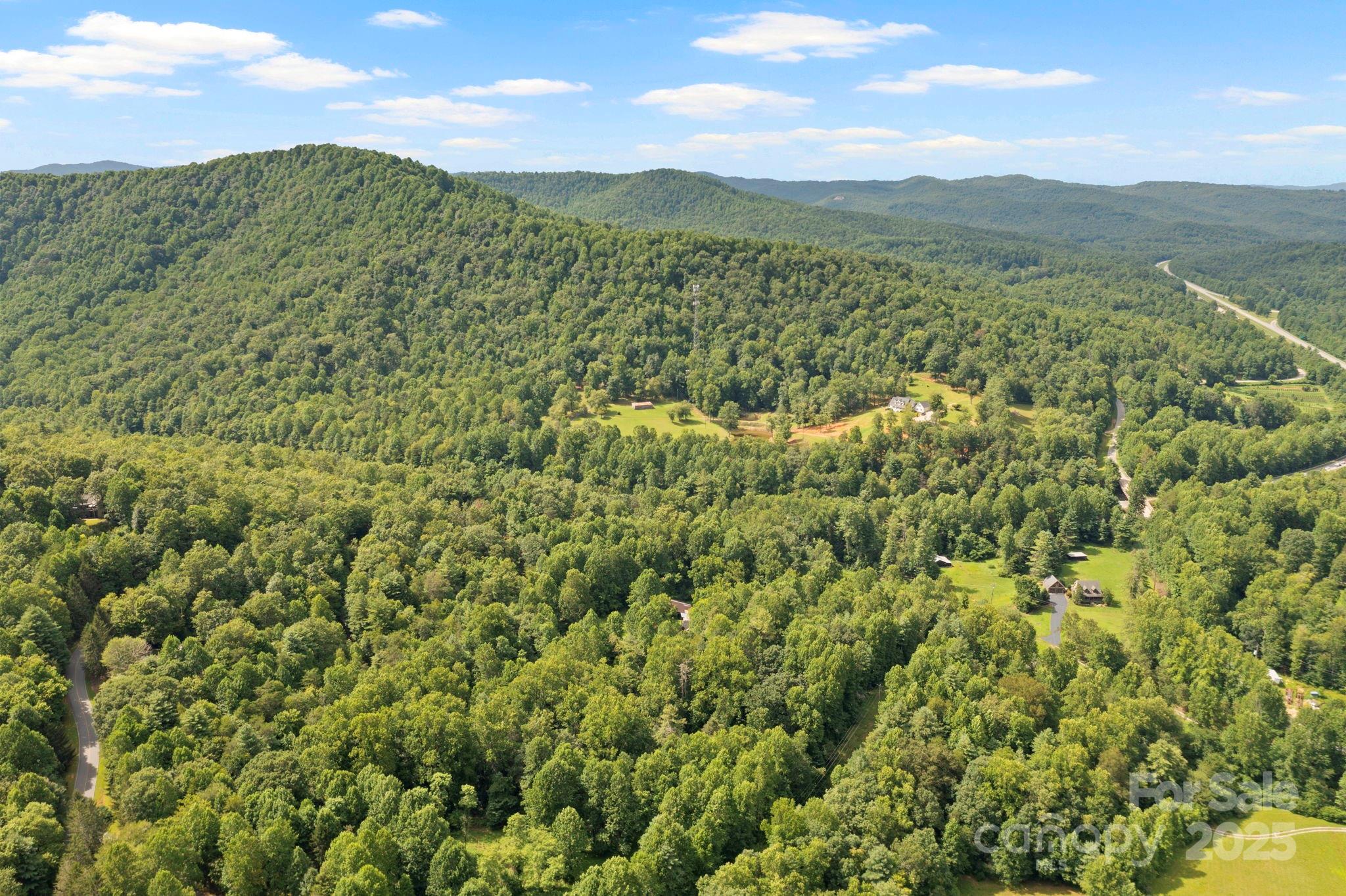 0 South Bobs Creek Road Zirconia, NC 28790 - Photo 24 of 31 a view of a mountain view with mountains in the background