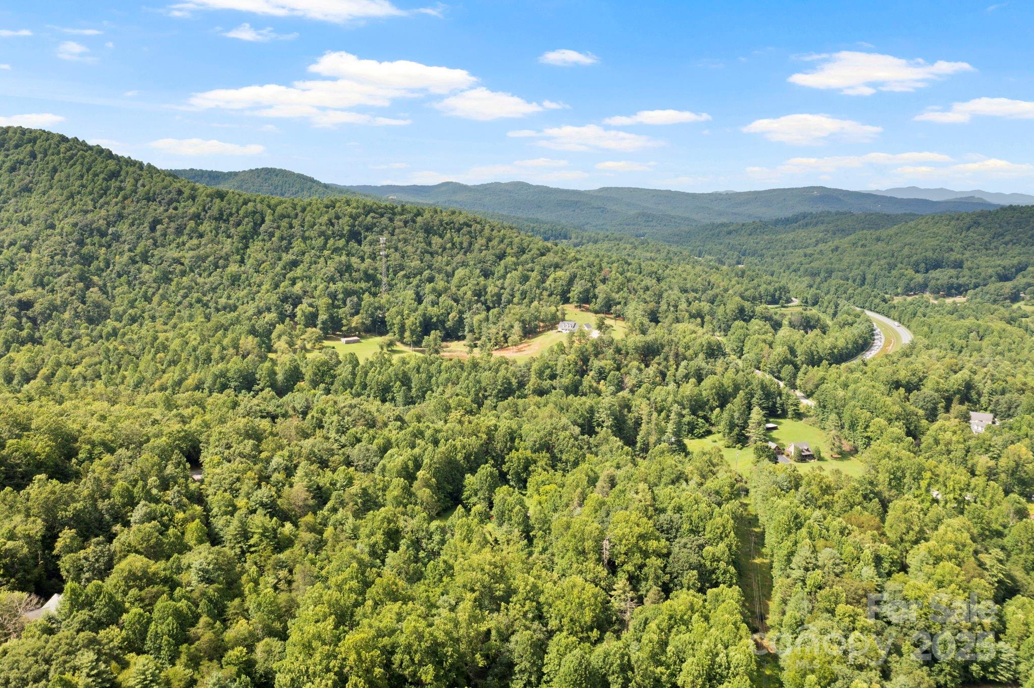 0 South Bobs Creek Road Zirconia, NC 28790 - Photo 25 of 31 a view of a lush green forest with mountains in the background