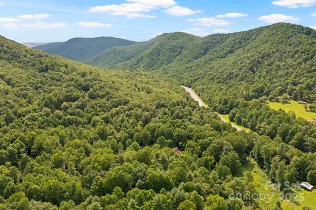 a view of a lush green field with a mountain in the background