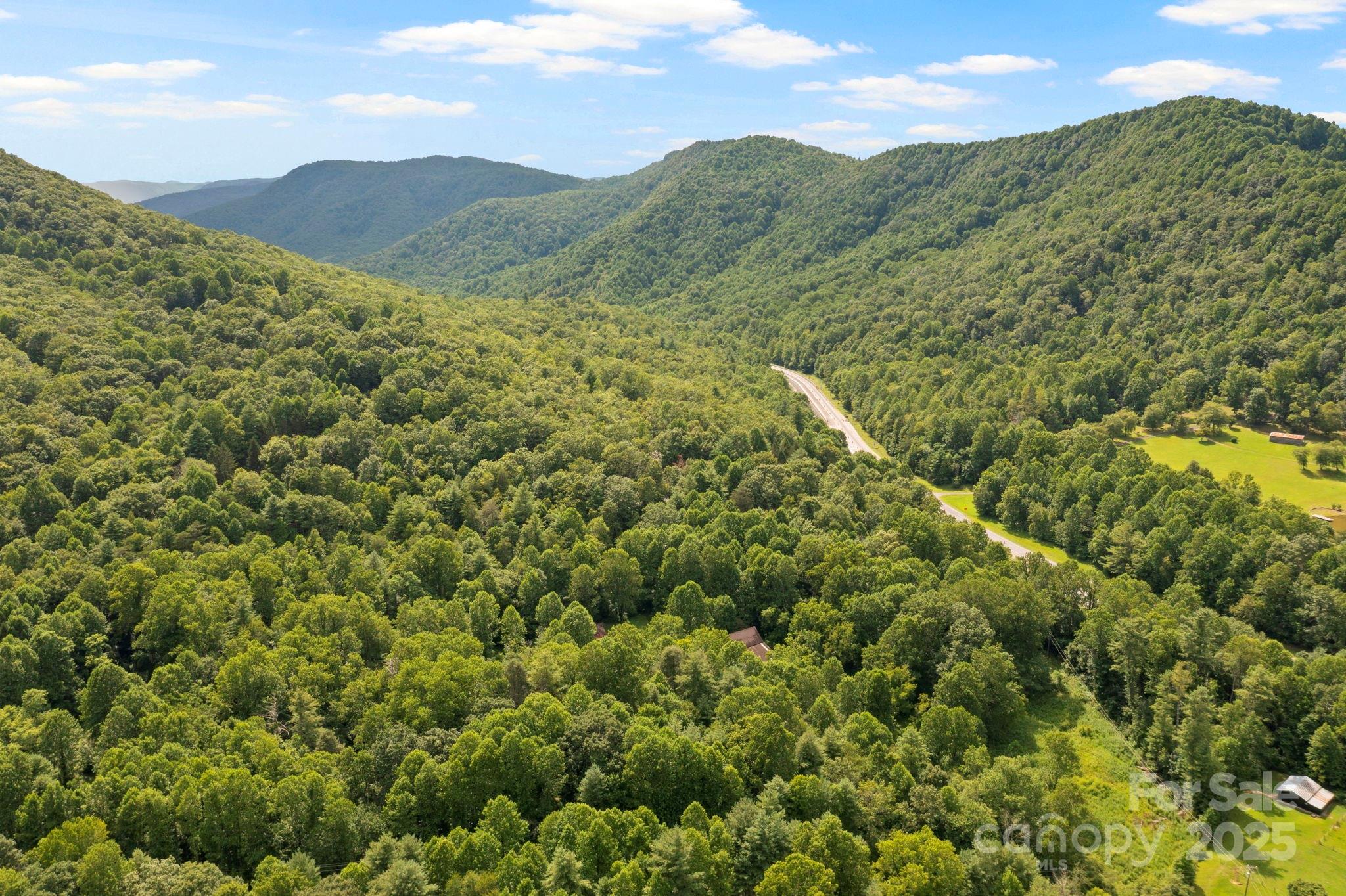 0 South Bobs Creek Road Zirconia, NC 28790 - Photo 26 of 31 a view of a lush green hillside and a building