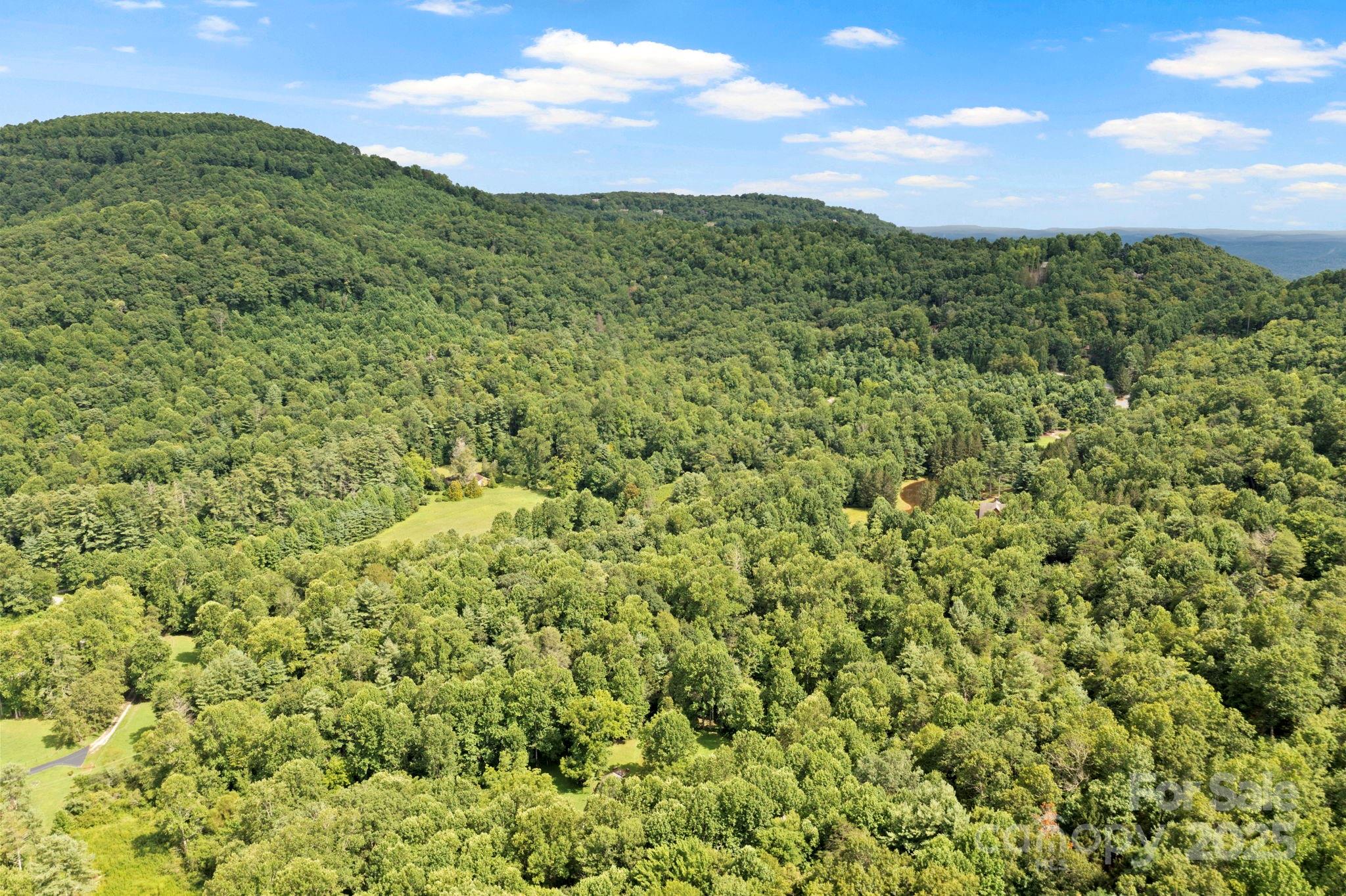 0 South Bobs Creek Road Zirconia, NC 28790 - Photo 27 of 31 a view of a lush green field with a mountain in the background