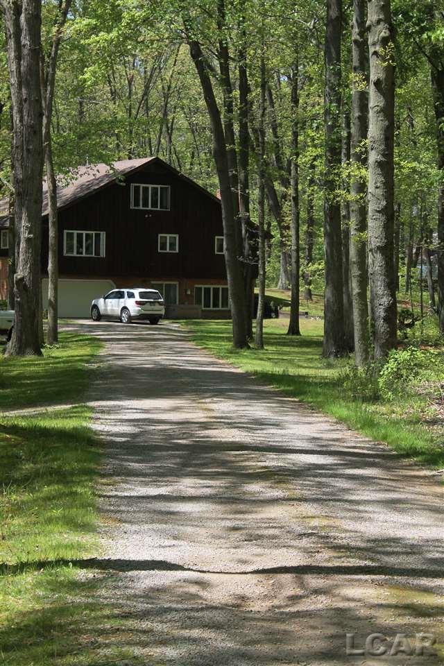 7310 Secor Road Petersburg, MI 49270 - Photo 4 of 31