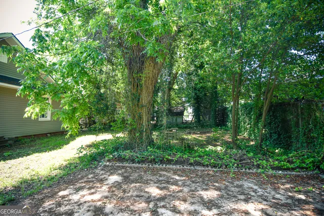 a view of a yard with plants and large trees