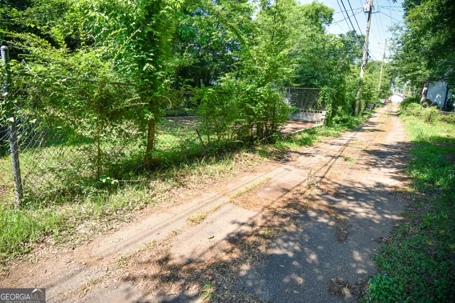 a pathway of a yard with plants and large trees