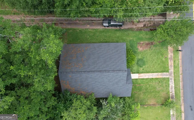 an outdoor view from a garden