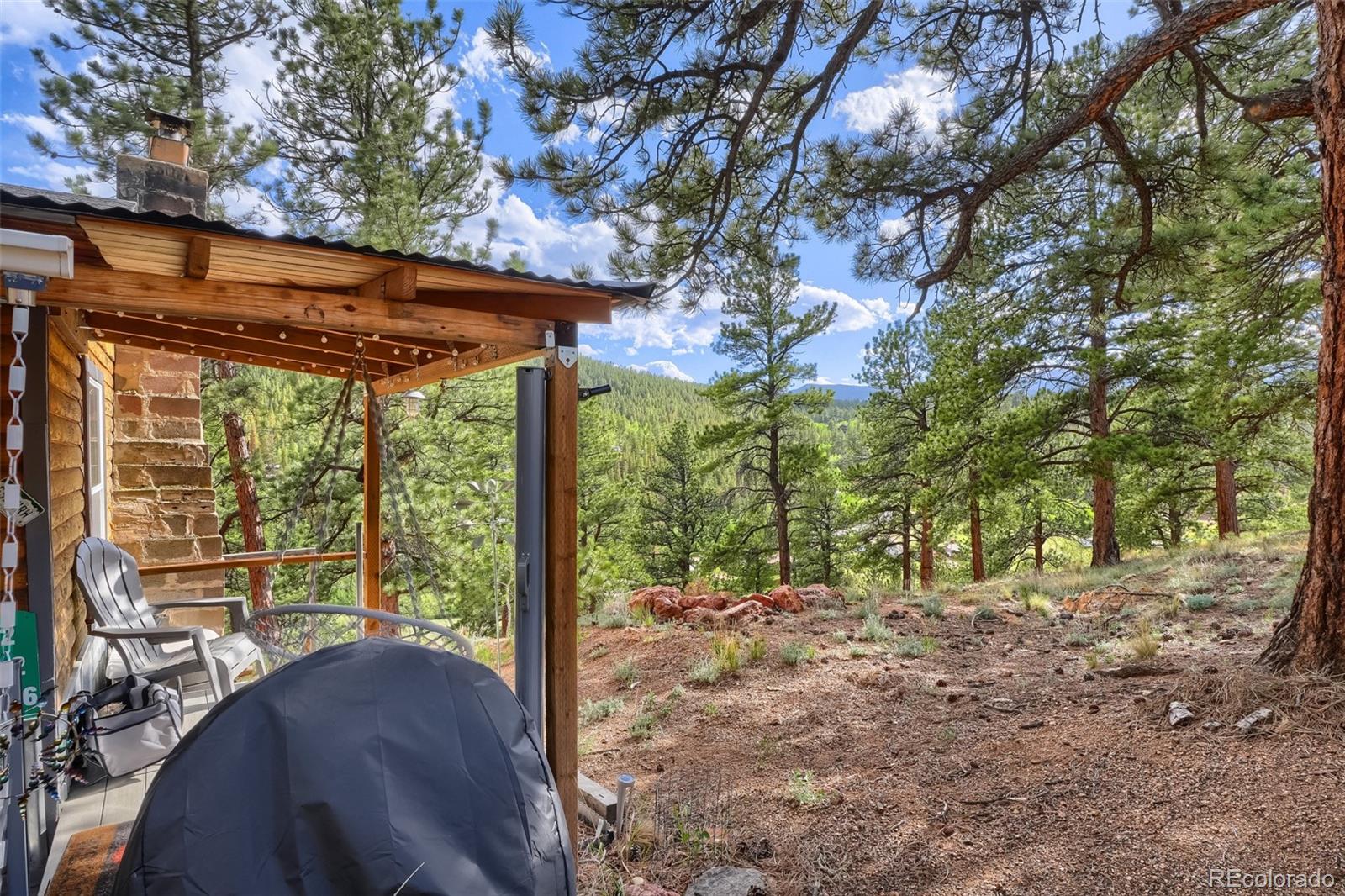 226 Hall Road Bailey, CO 80421 - Photo 4 of 39