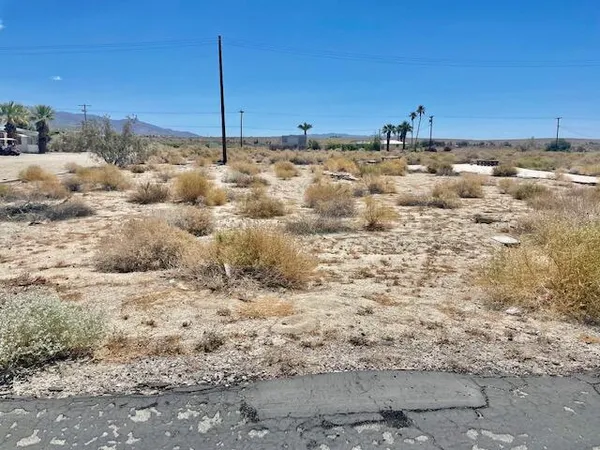 a view of a dry yard