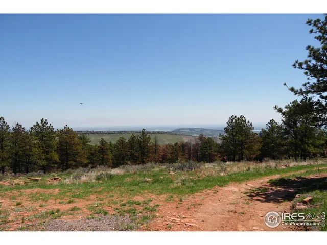 a view of a yard with trees