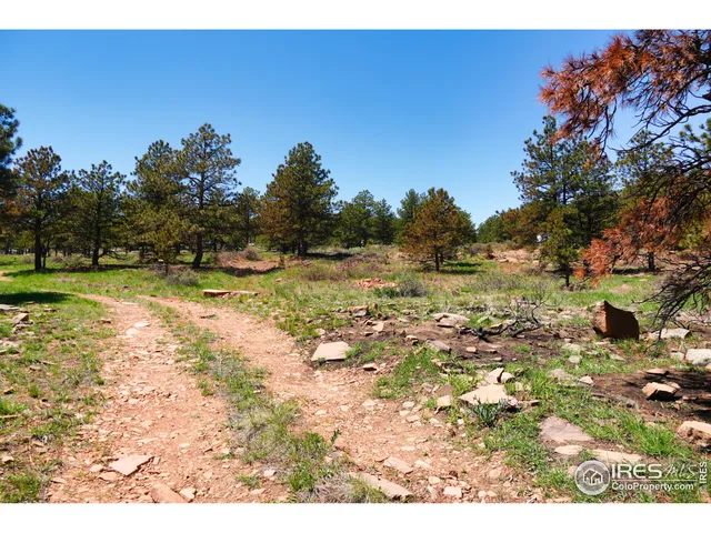 a view of a wooden floor