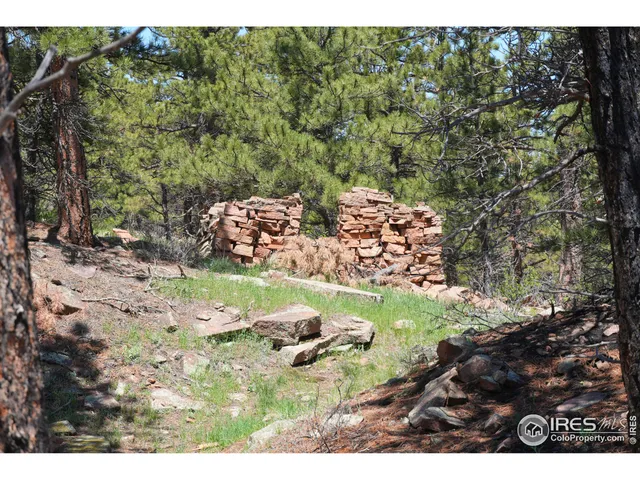 a view of a yard with an outdoor space