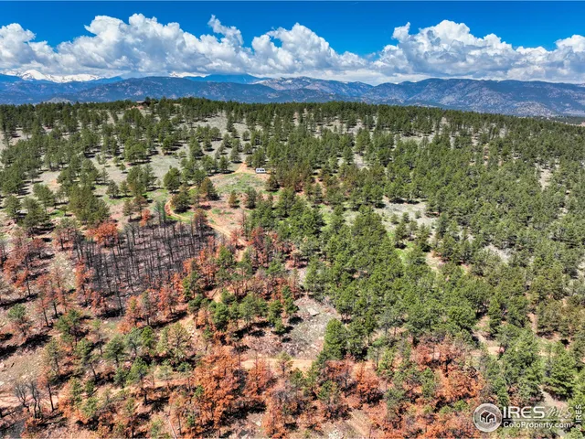 a view of outdoor space with trees