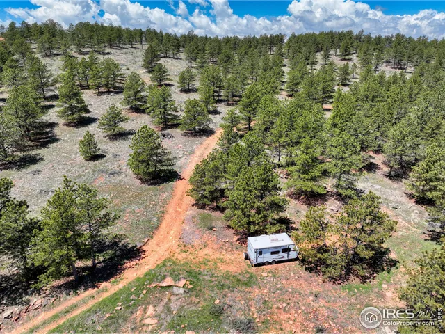 a view of a lake in a city