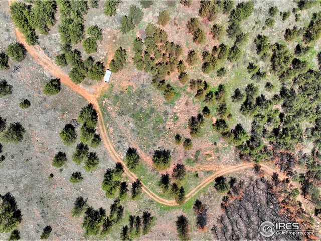 a view of a yard with a house in the background