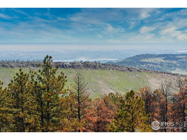 a view of a yard with an outdoor space