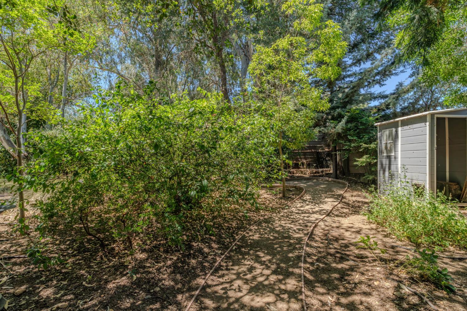 419 Rex Avenue Jackson, CA 95642 - Photo 79 of 90
