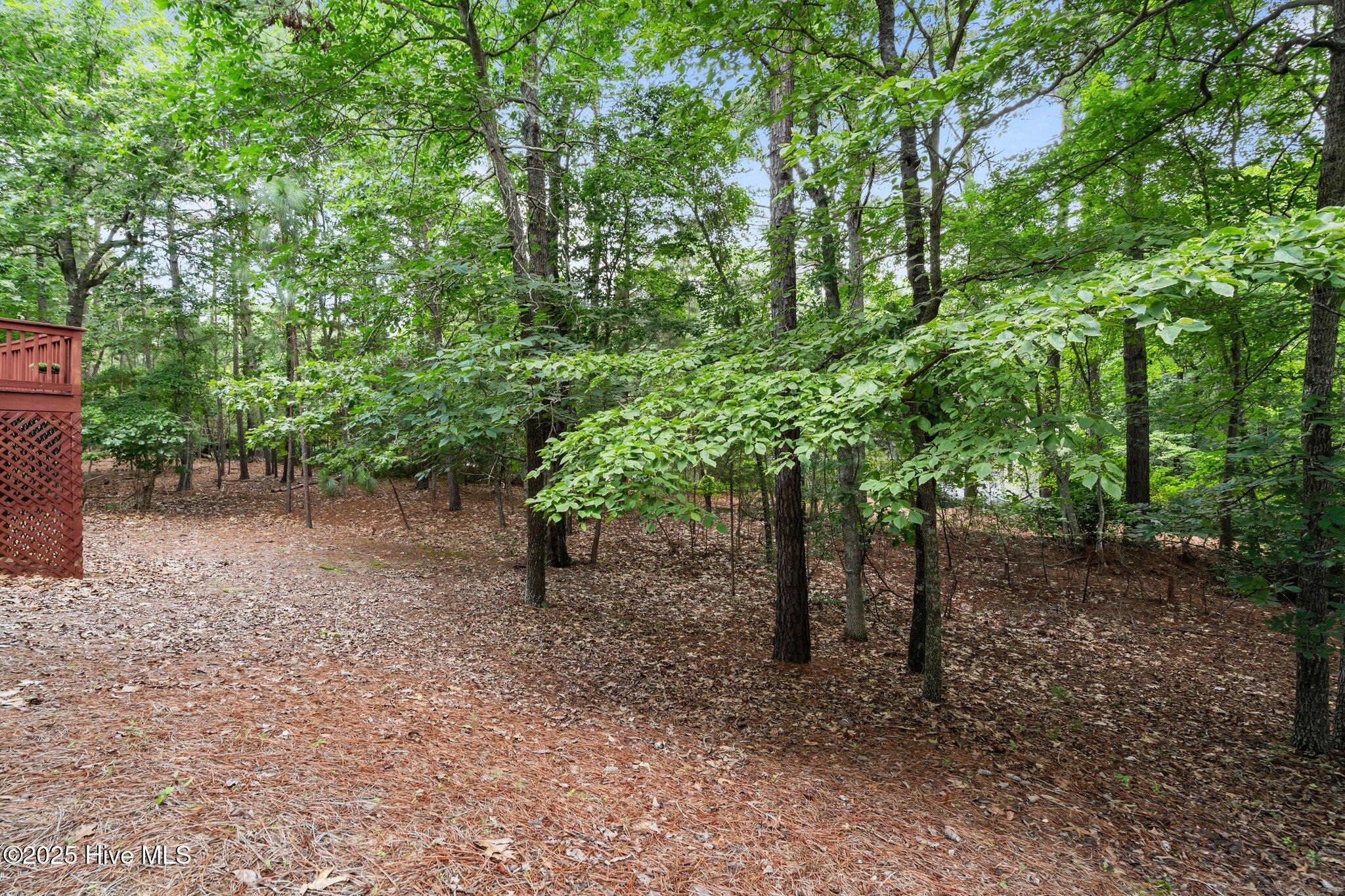 90 Sugar Pine Drive Pinehurst, NC 28374 - Photo 36 of 42 12-web-or-mls-DSC00248