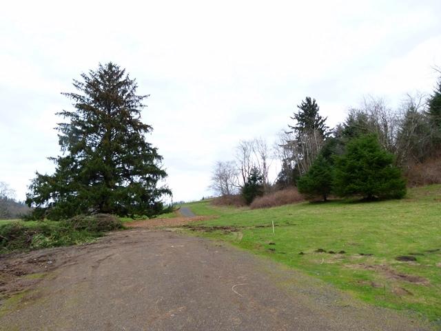 Tl#1008 Bel Air Road Cloverdale, OR 97112 - Photo 5 of 20 P1080340