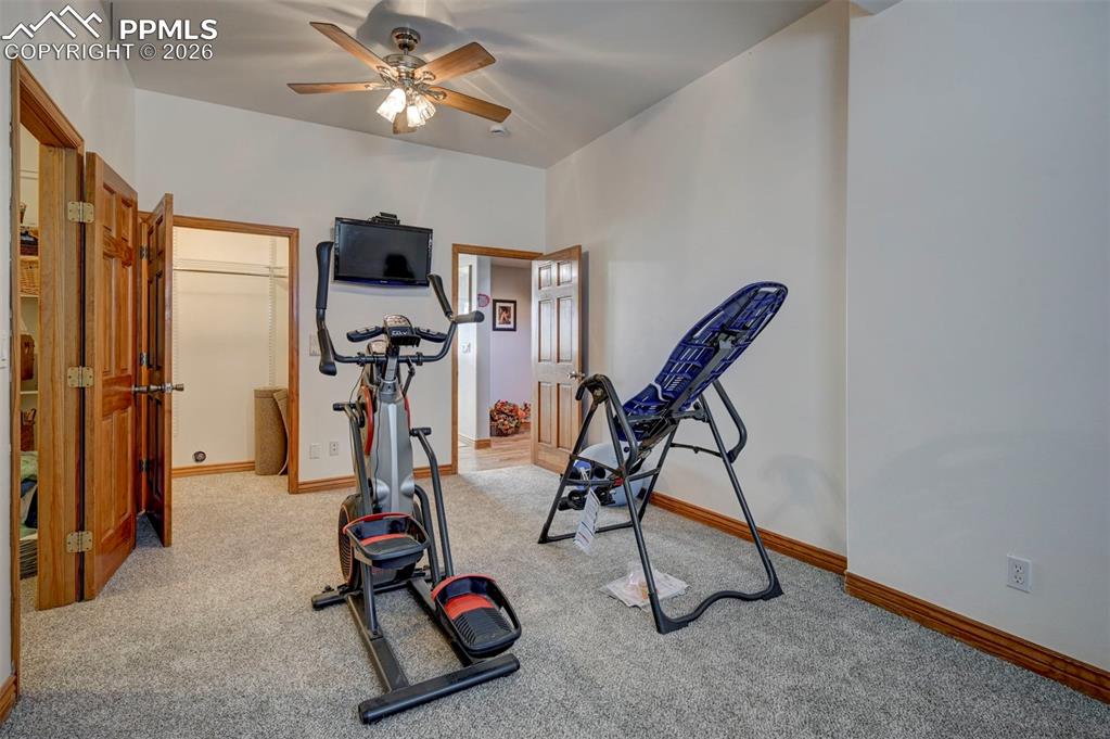 5910 McCart Ranch Circle Elizabeth, CO 80107 - Photo 25 of 50 a view of a room with gym equipment